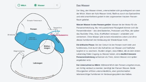 Die website kälberaufzucht-wasser.de von Dr. Ugur Kalayci.